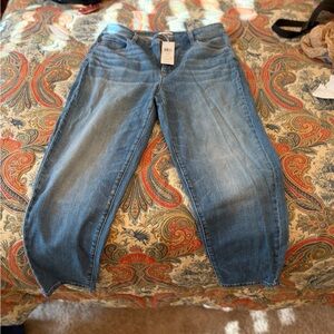 Eileen Fisher Organic Cotton Ankle Jeans Cropped Denim Pants Women's Size 10 NWT